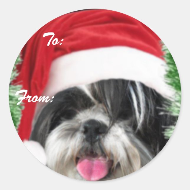 Vinheta de Etiqueta de Presente Shih Tzu de Natal (Frente)