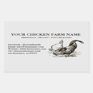 Vinheta editável de etiquetas de frango para aves 
