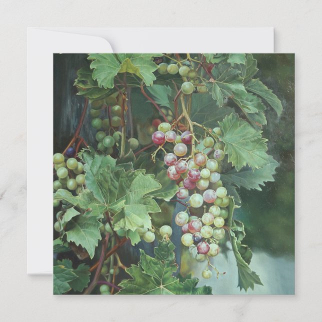 Vinho de Uvas Realista com Folhas - Belas Artes (Frente)