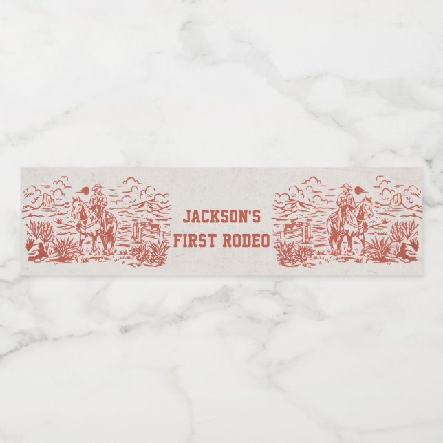 Vinho Rótulo da garrafa de água de Festa de aniversário  (Rótulo Único)