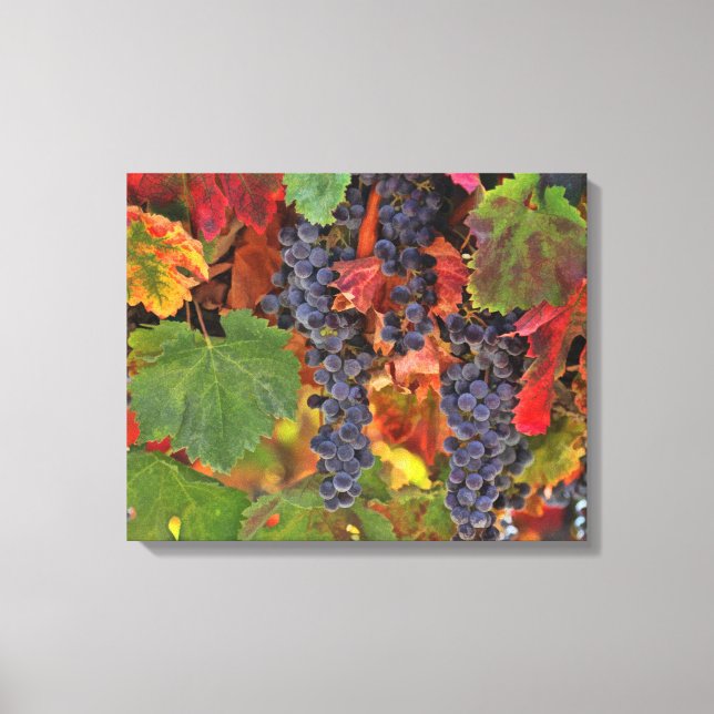 Vinho-Vinho Uvas Cozinha Canvas Arte (Frente)