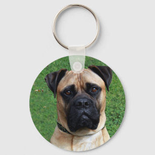 Vinnie o chaveiro de Bullmastiff