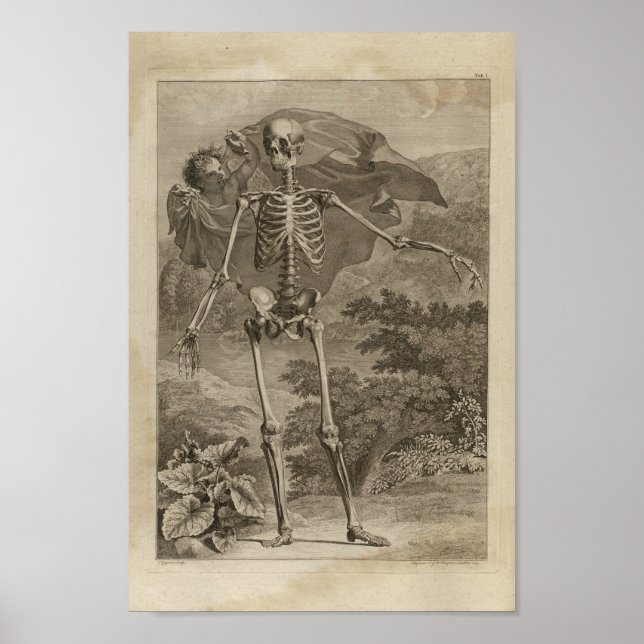 Vintage 1749 Skeleton Anatomy Impressão (Frente)