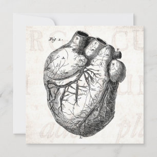 Vintage 1800s Corações de Anatomia Cardíaca Retro 