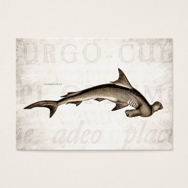 Vintage 1800s Hammerhead Shark Old Hammer Head (Frente)