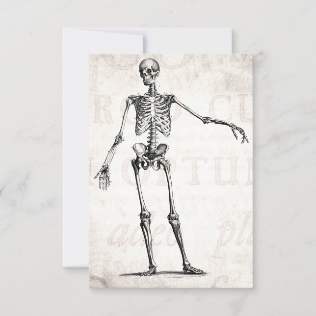 Vintage 1800s Skeleton Retro Skeletons Anatomia (Frente)