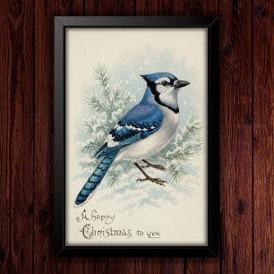 Vintage 1908 Blue Jay Poster Art