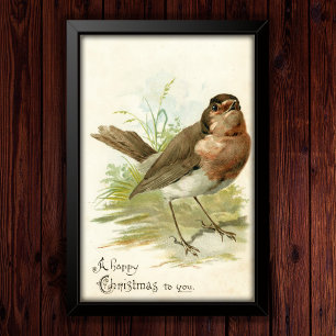 Vintage 1908 Robin Bird Poster