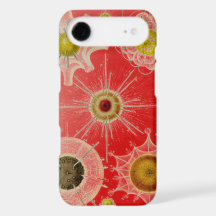 Vintage Alterado Haeckel