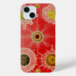 Vintage Altered Haeckel