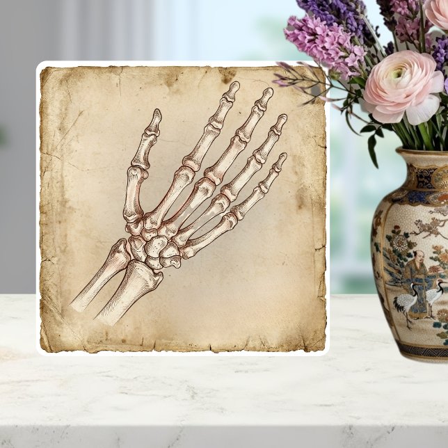 Vintage Anatomical Hand Bones Ink Drawing Sepia (Criador carregado)