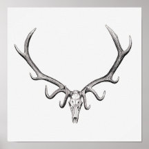 Vintage Animal Skull Poster