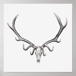 Vintage Animal Skull Poster