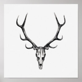 Vintage Animal Skull Poster