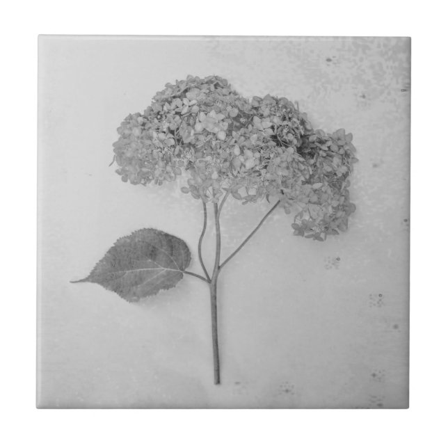 Vintage Antiguamente, Preto E Branco (Frente)