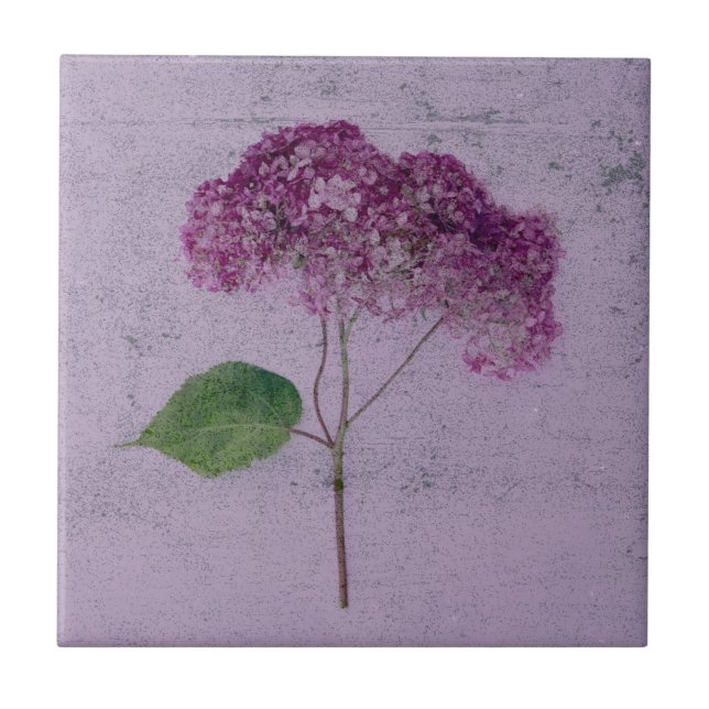 Vintage Antiquado Roxo Hydrangea País Floral (Frente)