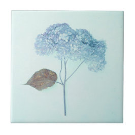 Vintage Antique Blue Hydrangea Country Floral