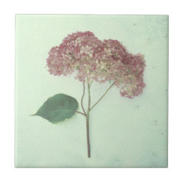 Vintage Antique Teal Rosa Rosa Hidrangea País Flor