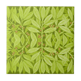 Vintage Art Nouveau Folhas Botânicas e Berries