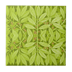 Vintage Art Nouveau Folhas Botânicas e Berries