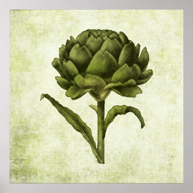 Vintage Artichoke Poster (Frente)