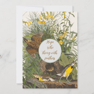 Vintage Audubon Meadowlark Impressão