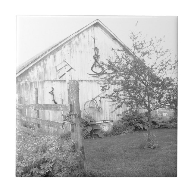 Vintage Barn (Frente)