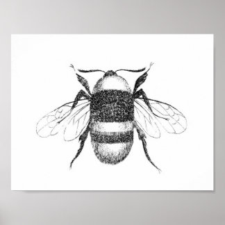 Vintage bee impressão
