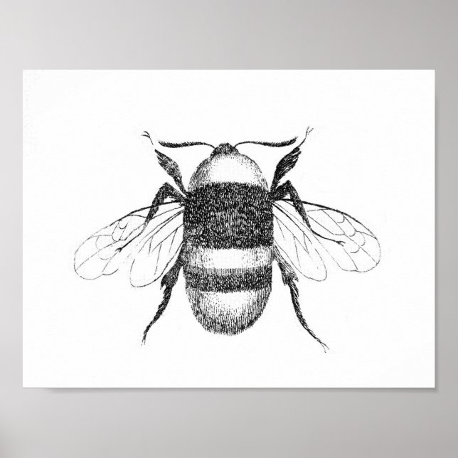 Vintage bee impressão (Frente)