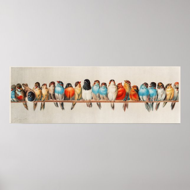 Vintage Bird Impressão (Frente)