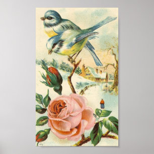 Vintage Bird Poster