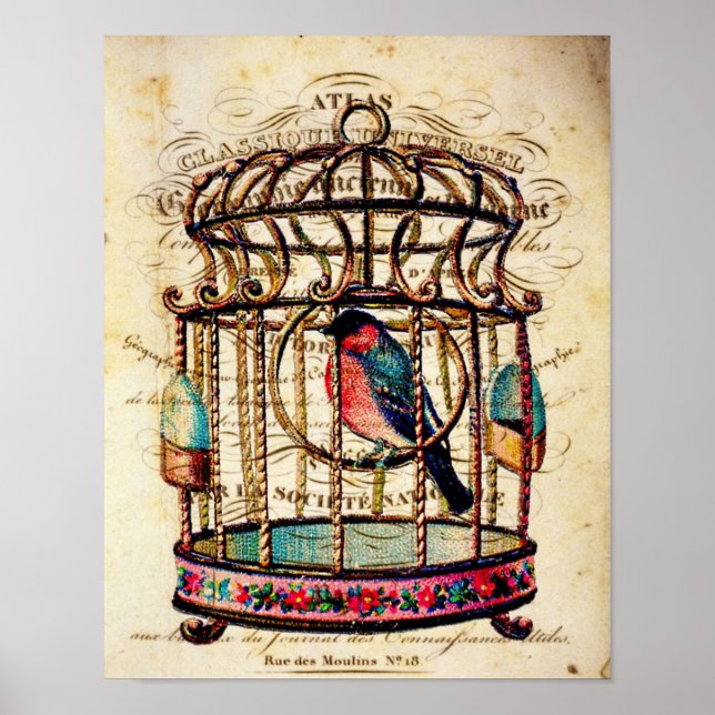 Vintage Birdcage - Impressão de Arte Francesa (Frente)