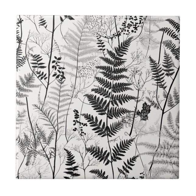 Vintage Black White Fern (Frente)