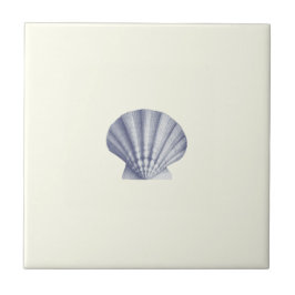 Vintage Blue Sea Shell moderno na Costa do Marfim