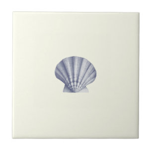 Vintage Blue Sea Shell moderno na Costa do Marfim