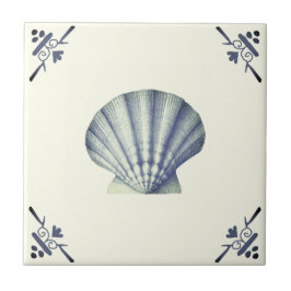 Vintage Blue Sea Shell moderno na Costa do Marfim