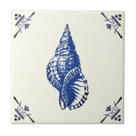 Vintage Blue Seashell decorativo sobre marfim
