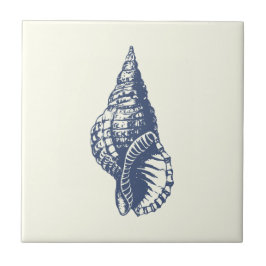 Vintage Blue Seashell decorativo sobre marfim