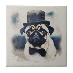 Vintage BLue Tux Pug Retrato