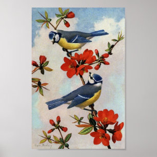 Vintage Bluebird Red Blossoms Art Impressão Poste