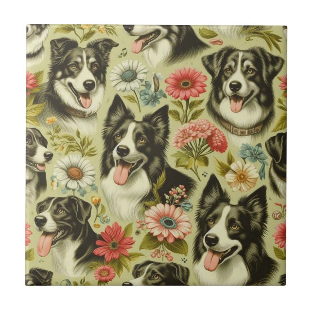 Vintage Border Collie Painting (Frente)