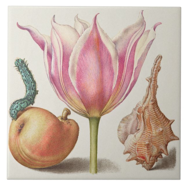 Vintage Botanical (Frente)