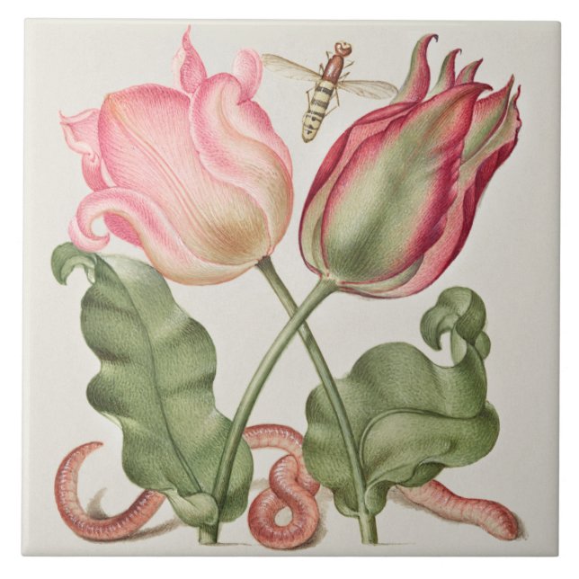 Vintage Botanical (Frente)