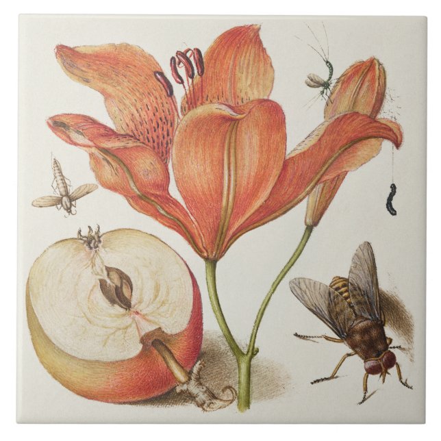 Vintage Botanical (Frente)