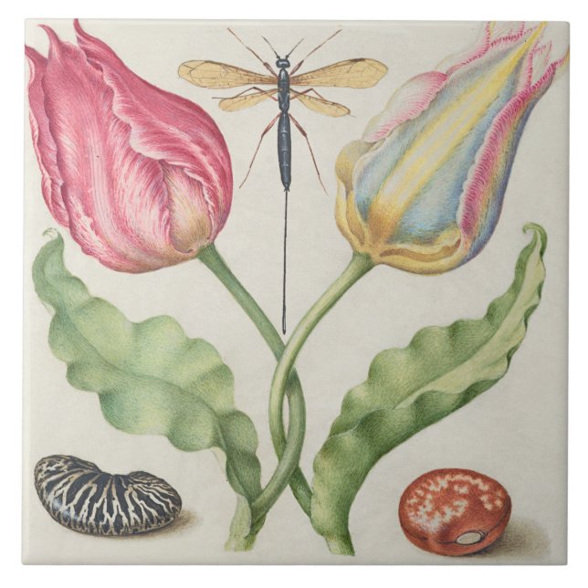 Vintage Botanical  (Frente)