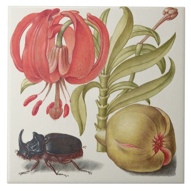 Vintage Botanical (Frente)