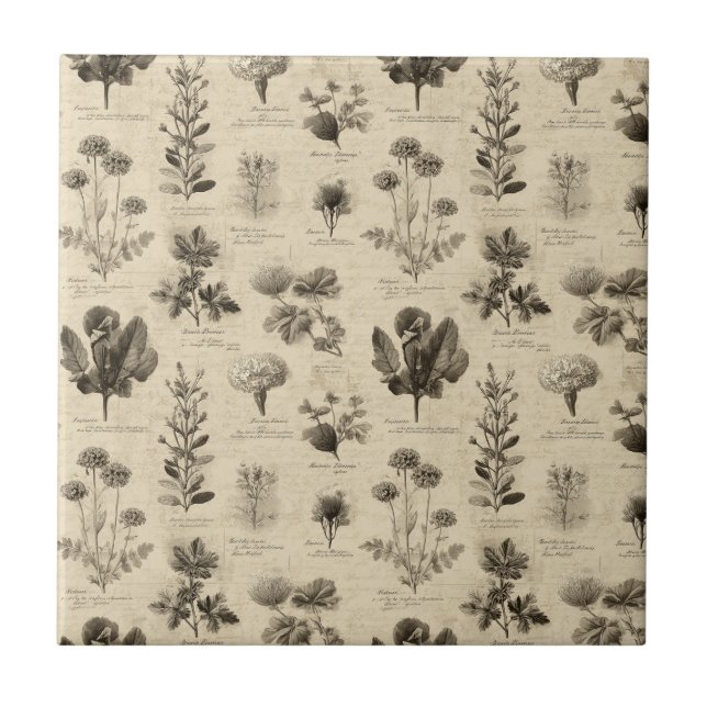 Vintage Botanical Floral Pattern (11) (Frente)