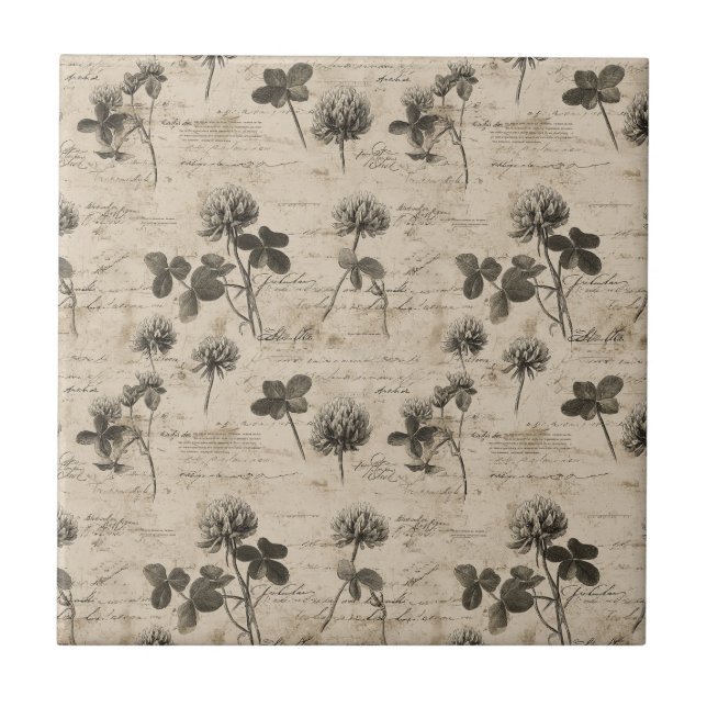 Vintage Botanical Floral Pattern (3) (Frente)