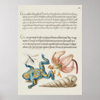 Vintage Botanical Illustration Poster