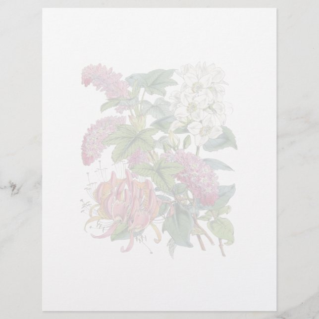 Vintage Botanical Page (Frente)